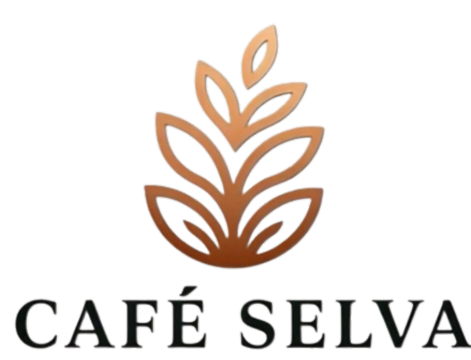 Guía de Cafeteras y Café en Casa